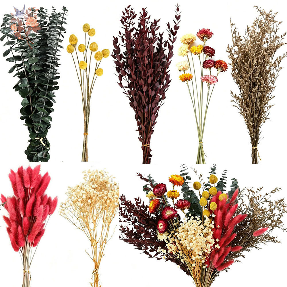 Getrocknete Blumen Großpackung – Florist Flower Supply Bewertung und Preis
